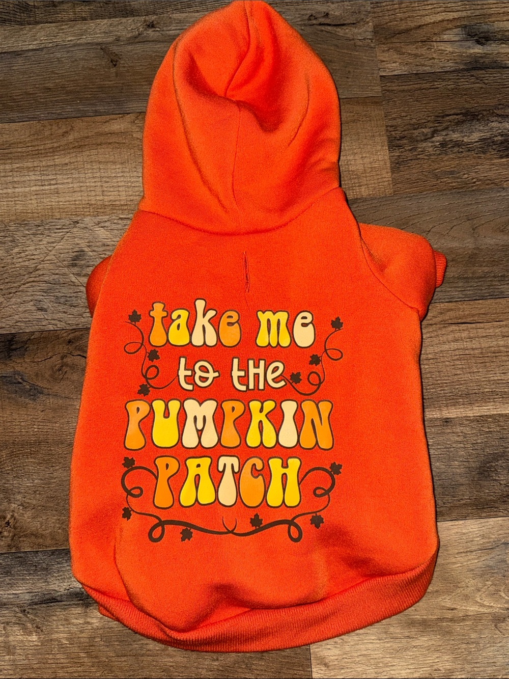 Woof Fall Dog Hoodie